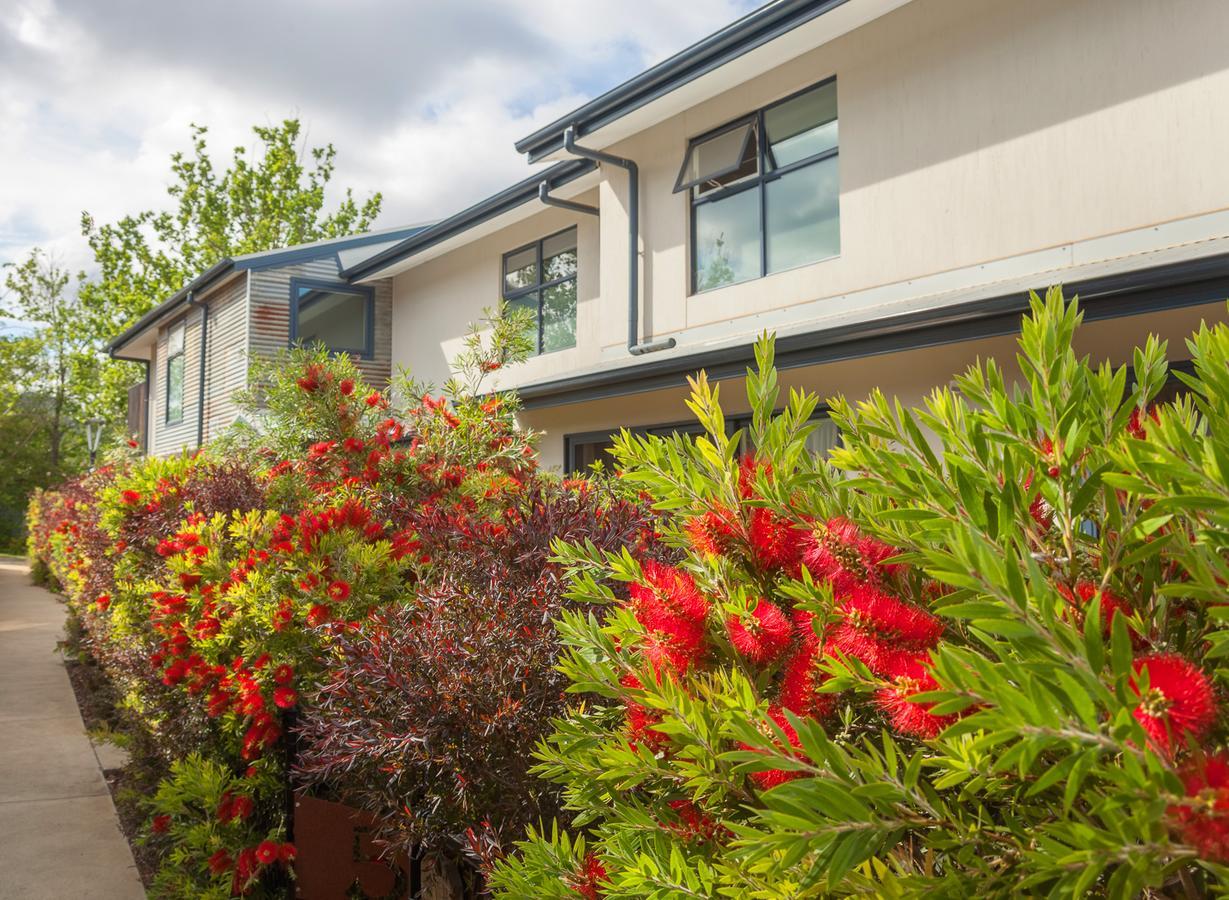 One Of A Kind Apartments Canberra Eksteriør billede